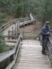 PICTURES/Pictured Rocks Waterfalls/t_Wagner Falls Boardwalk2.jpg